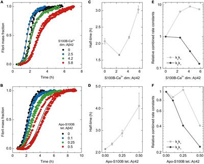 S100B chaperone multimers suppress the formation of oligomers during Aβ42 aggregation